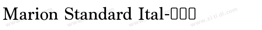 Marion Standard Ital字体转换